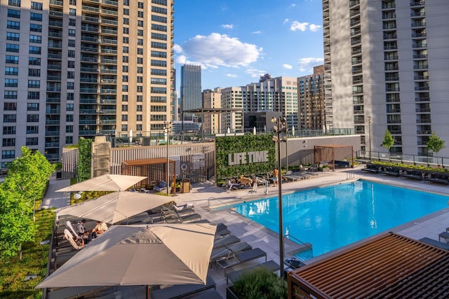 view of pool featuring a patio