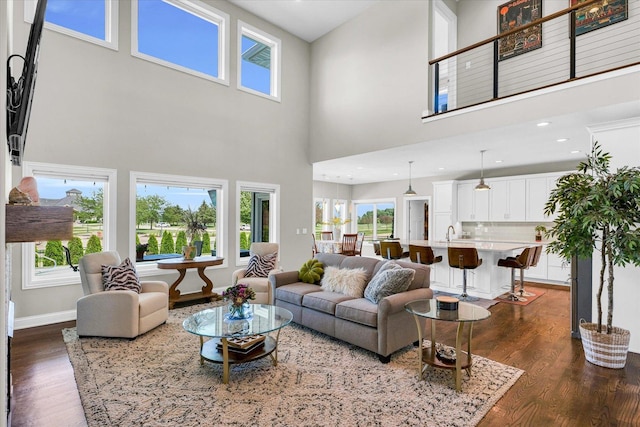 living room featuring a towering ceiling, sink, and dark hardwood / wood-style flooring