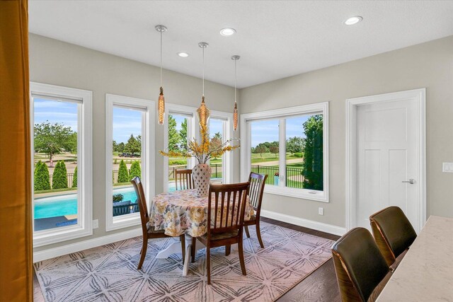 dining space with plenty of natural light