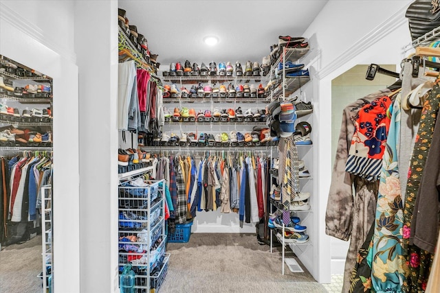 walk in closet featuring carpet flooring