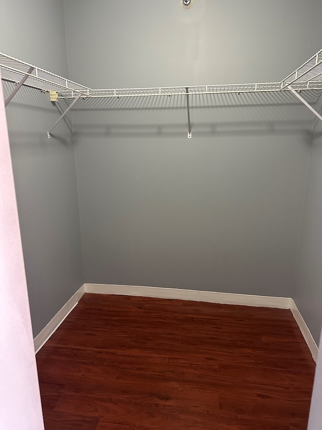 walk in closet featuring dark hardwood / wood-style flooring