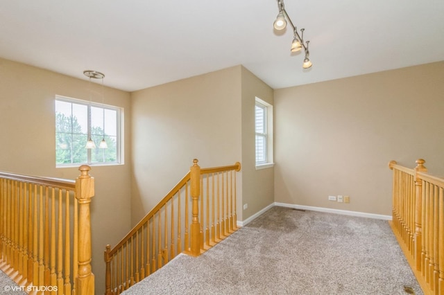 211 Grand Ridge Rd, Saint Charles, IL 60175 - stairs featuring carpet flooring and baseboards