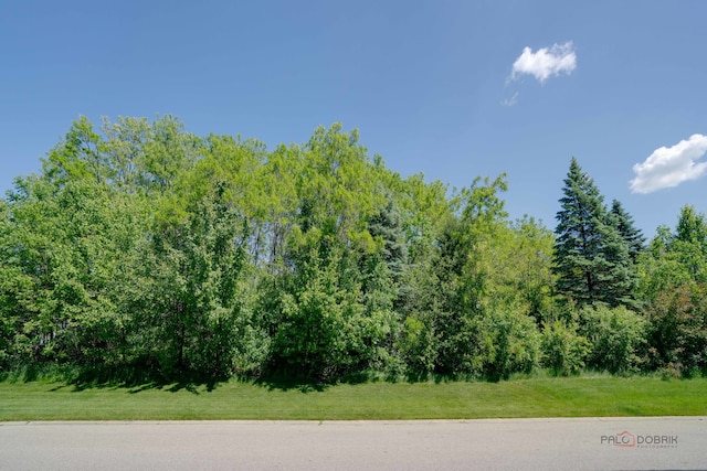 39683 N Orchard Bluff Ln, Wadsworth IL, 60083 land for sale