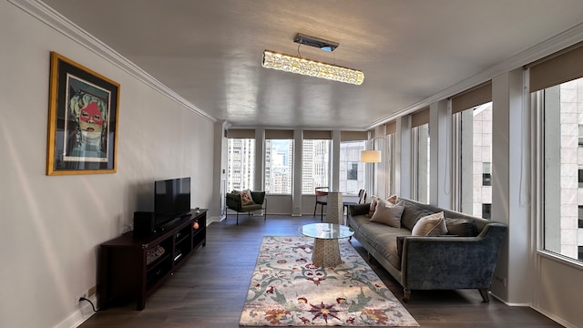 living room with dark hardwood / wood-style floors and ornamental molding