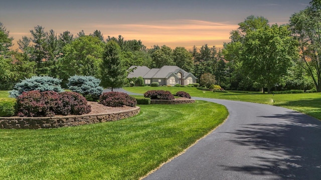 view of front of property featuring aphalt driveway and a yard