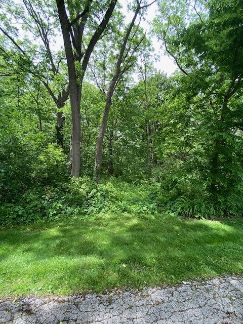 LOT58 Beverly Way, Spring Grove, IL 60081 - photo 4