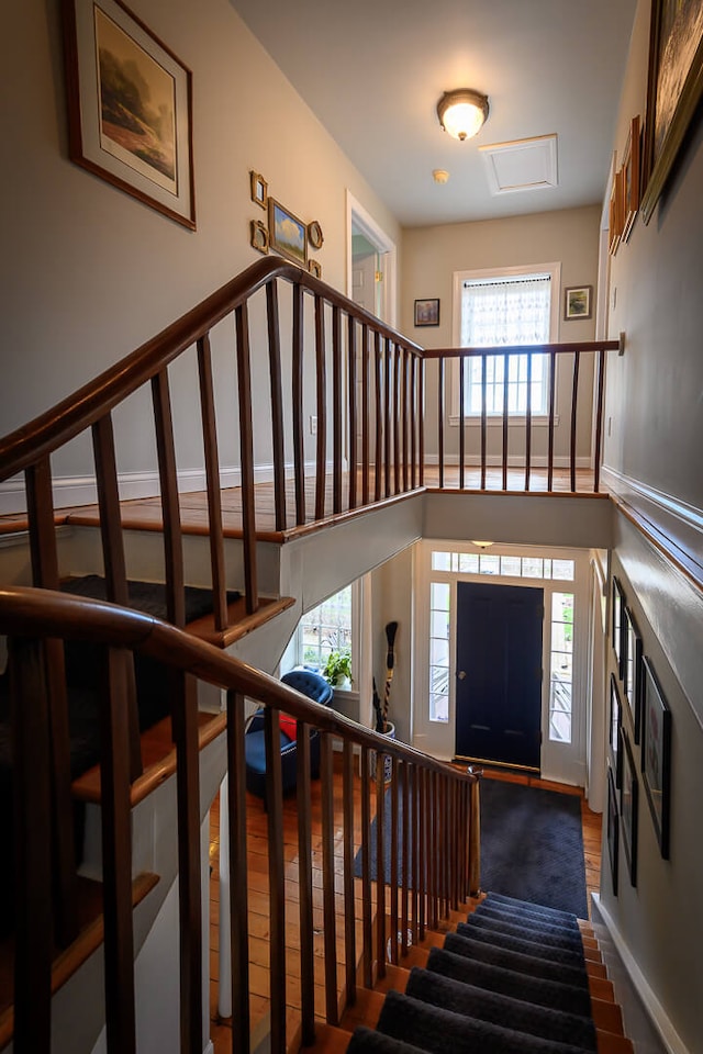 stairs with hardwood / wood-style flooring and a wealth of natural light