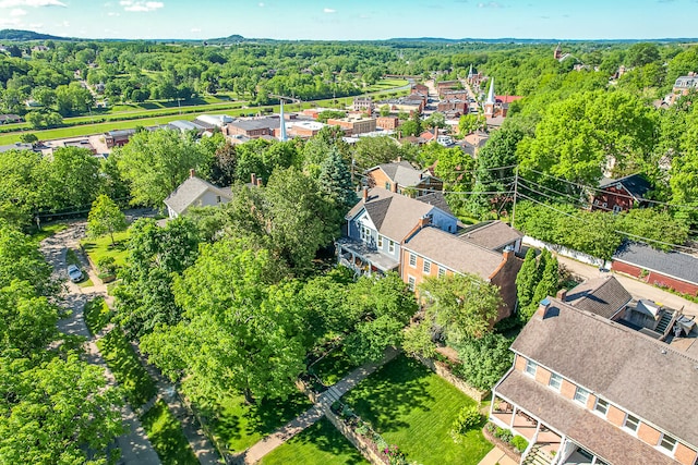 drone / aerial view