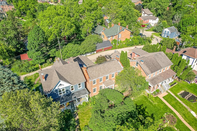 drone / aerial view