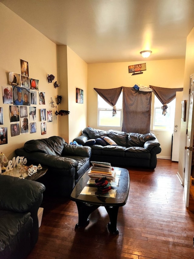 living room featuring dark wood-type flooring