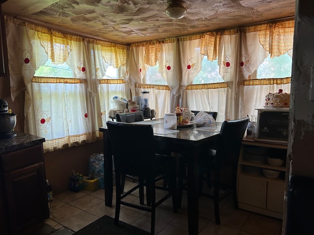 view of tiled dining room