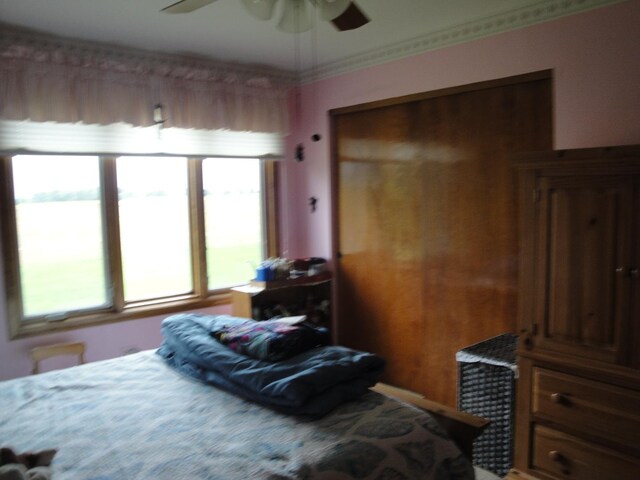 bedroom featuring multiple windows and ceiling fan