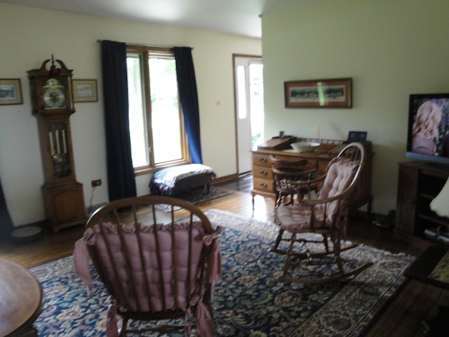 living room with hardwood / wood-style floors and plenty of natural light