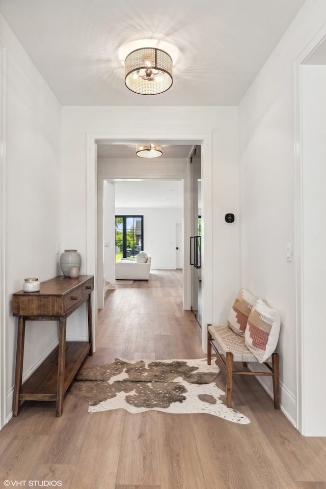 hallway with wood-type flooring