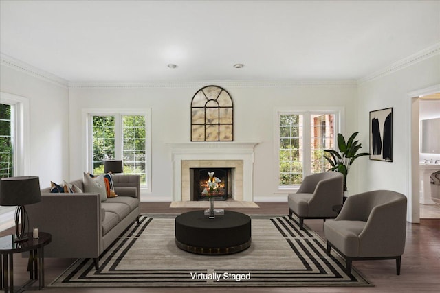 living room with ornamental molding, dark wood-type flooring, and a fireplace