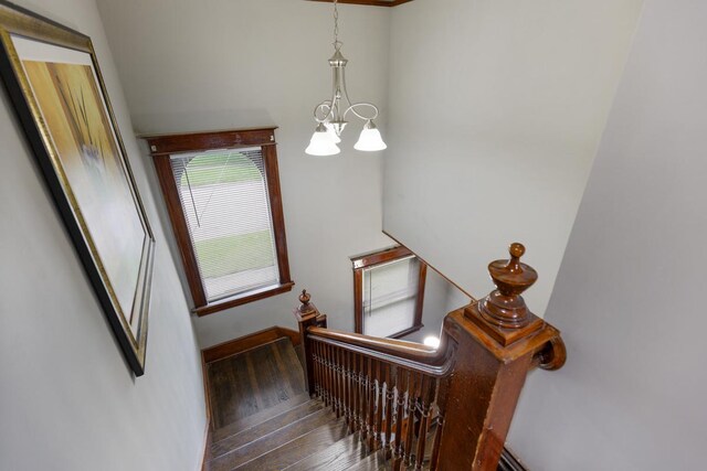 stairway featuring hardwood / wood-style floors and a notable chandelier