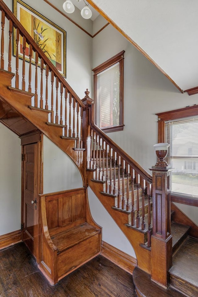 staircase featuring hardwood / wood-style floors