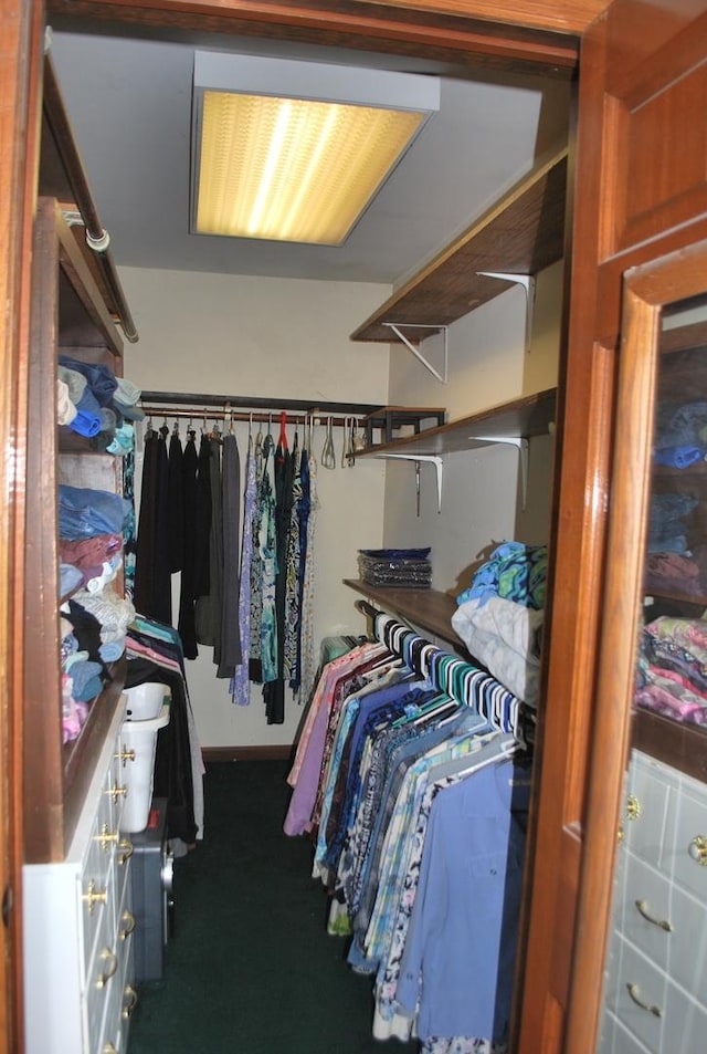 spacious closet with carpet floors