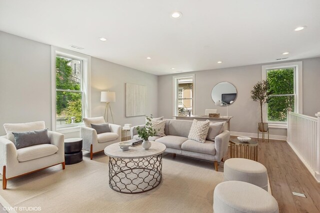 living room featuring a wealth of natural light and wood-type flooring