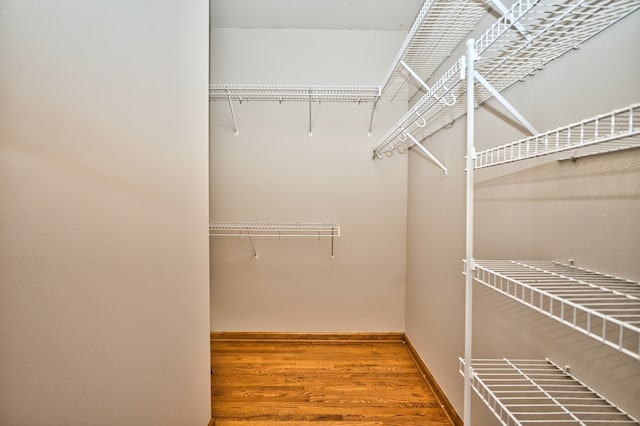 walk in closet featuring hardwood / wood-style floors