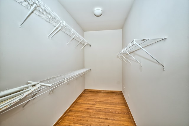 spacious closet with wood-type flooring