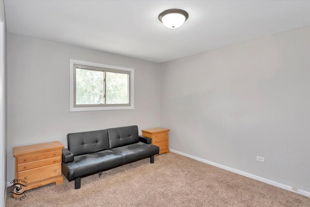 sitting room with light colored carpet