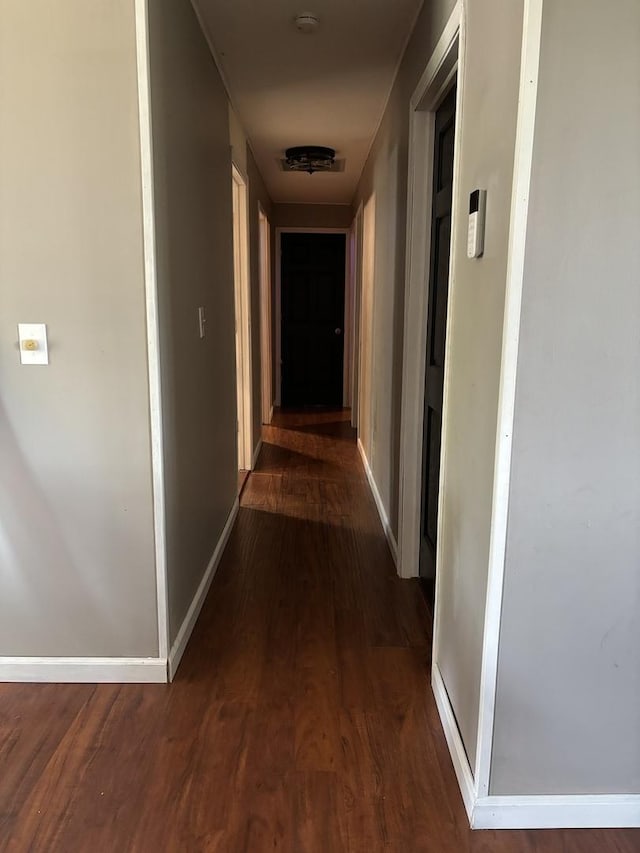 corridor featuring dark hardwood / wood-style floors