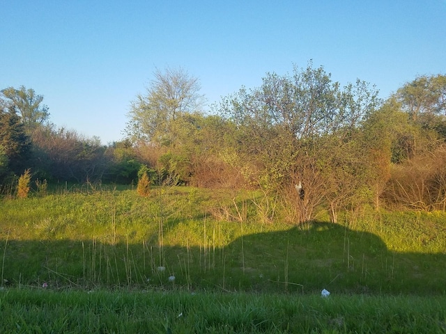 1811ILRTE25 Elgin Rd, Barrington, IL 60010 - photo 2
