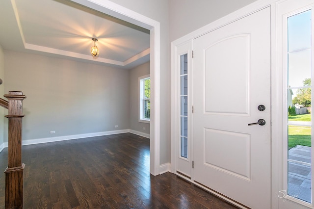 foyer with dark hardwood / wood-style flooring and a raised ceiling