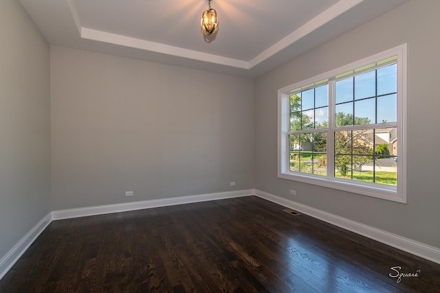 spare room with dark wood-type flooring and a raised ceiling