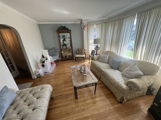 living room with light wood-type flooring and crown molding