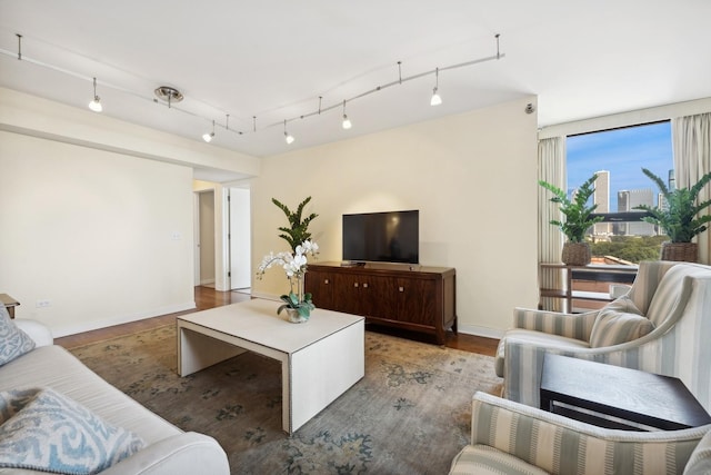 living room featuring wood-type flooring and rail lighting