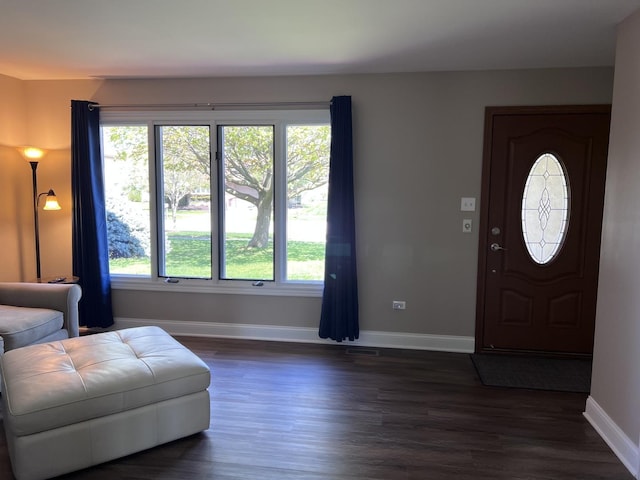 foyer entrance featuring a healthy amount of sunlight, baseboards, and dark wood-style floors