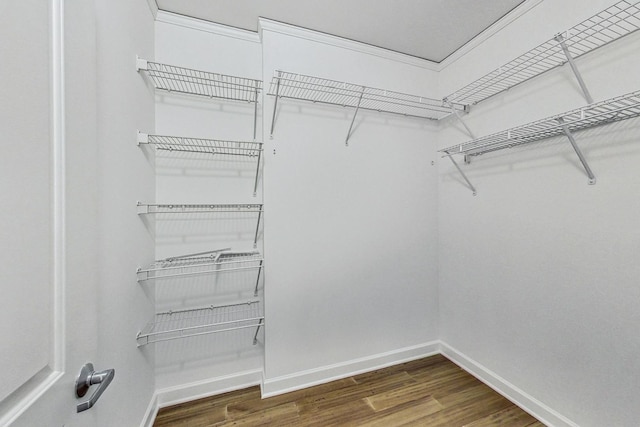 spacious closet with wood-type flooring