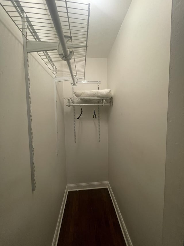 spacious closet featuring dark hardwood / wood-style floors