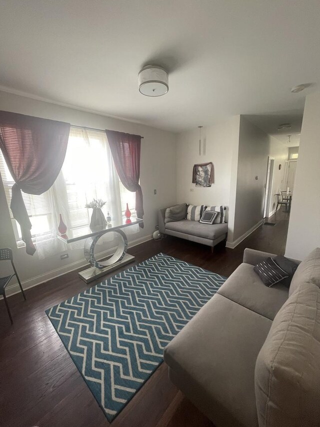 living room with dark hardwood / wood-style flooring