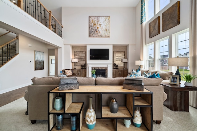 living room featuring a towering ceiling and hardwood / wood-style flooring