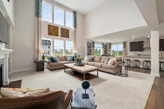 living room featuring a high ceiling and wood-type flooring