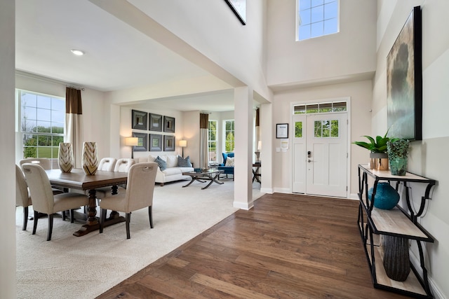 foyer entrance with a high ceiling and dark wood-type flooring