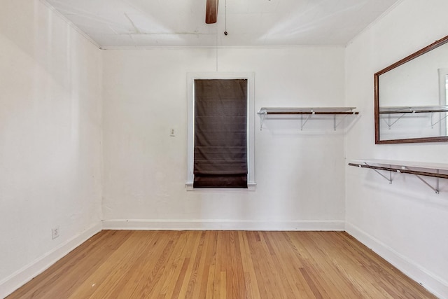 spacious closet featuring light wood-type flooring