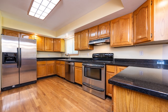 kitchen featuring light hardwood / wood-style flooring, stainless steel appliances, and sink