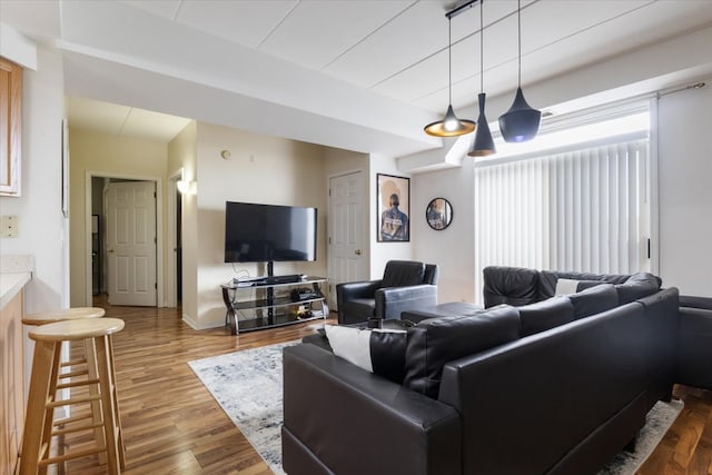 living room with hardwood / wood-style floors