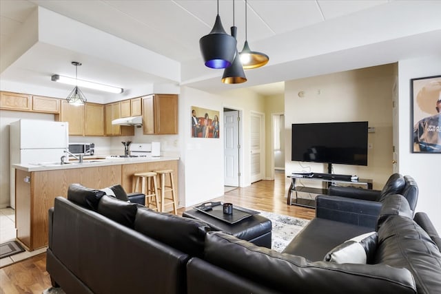 living room featuring light wood-type flooring