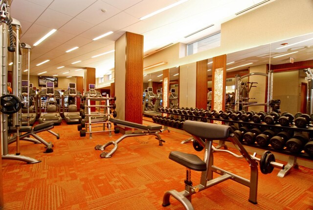 workout area featuring a paneled ceiling and carpet floors