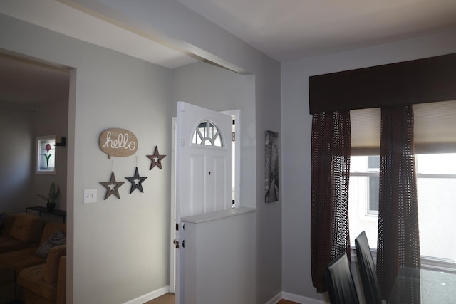 1040 N Austin Blvd, Oak Park, IL 60302 - entrance foyer with baseboards