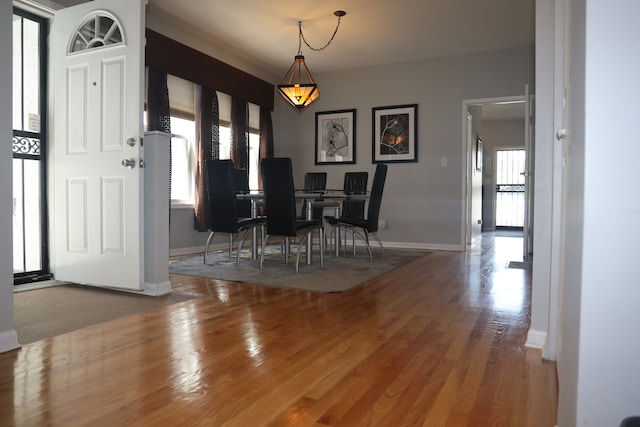 unfurnished dining area with plenty of natural light and wood-type flooring