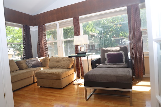 living room featuring lofted ceiling and wood-type flooring