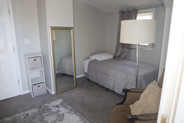 bedroom featuring a closet and carpet floors