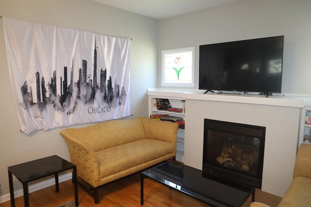 1040 N Austin Blvd, Oak Park, IL 60302 - living room featuring a glass covered fireplace and wood finished floors