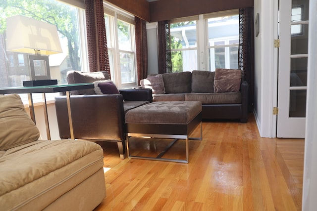 living room featuring light hardwood / wood-style flooring